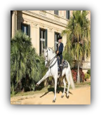 Jerez horse show private tour from Malaga