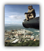  tours and day trips to Gibraltar 